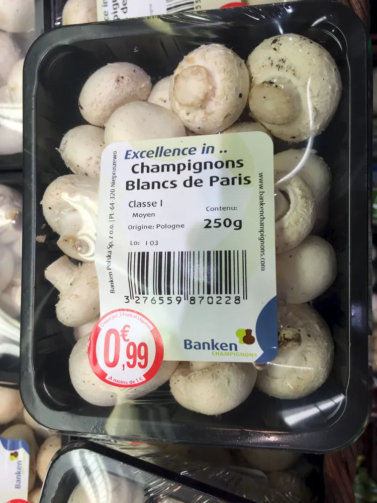Champignons blancs de Paris