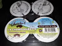 La champsaurette