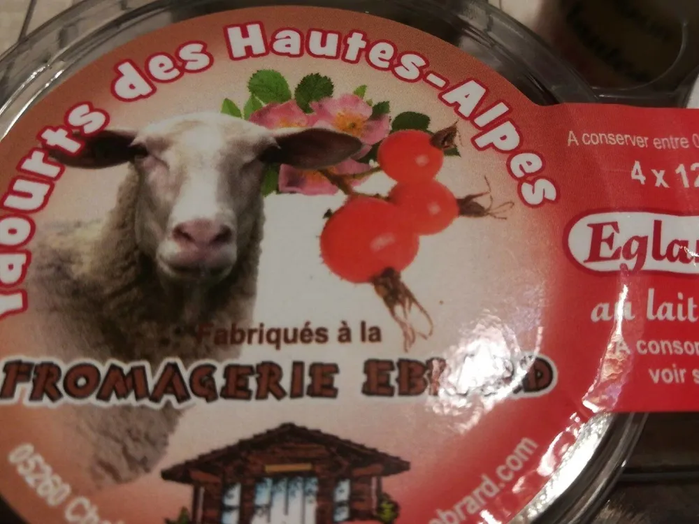Yaourts au lait de brebis a l'eglantine FROMAGERIE EBRARD