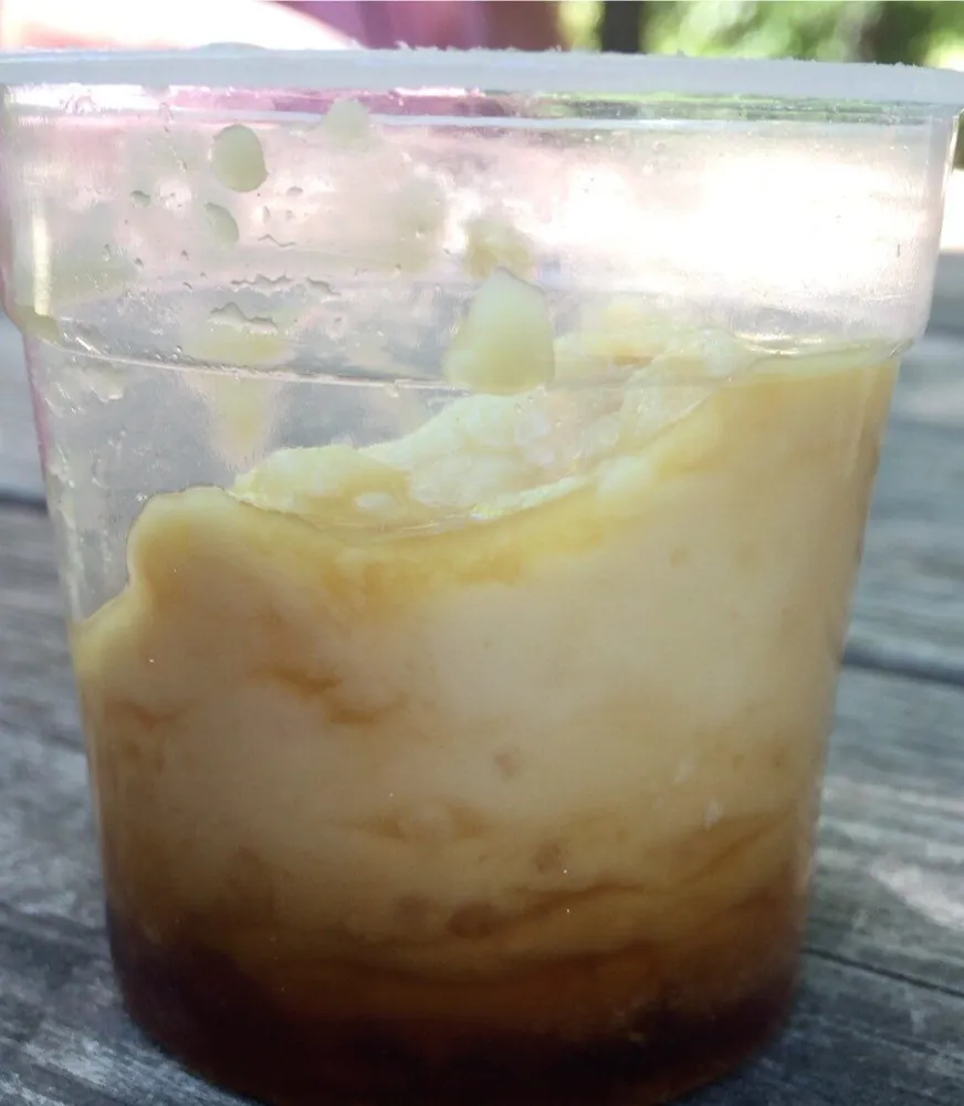Riz au lait caramel