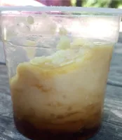 Riz au lait caramel