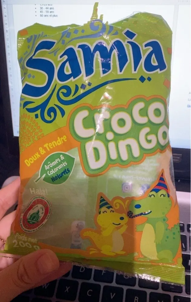 Croco dingo
