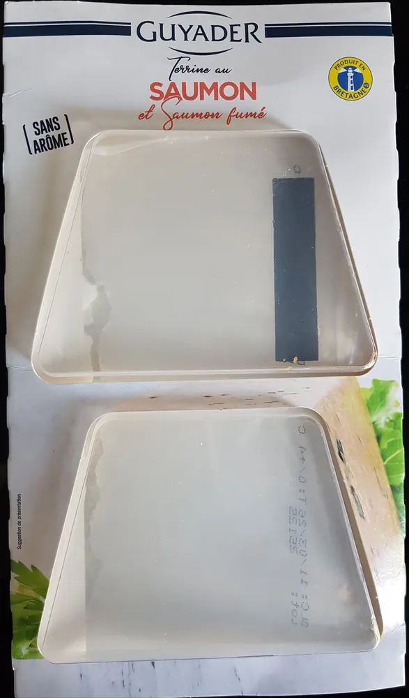 Terrine au Saumon et Saumon fumé