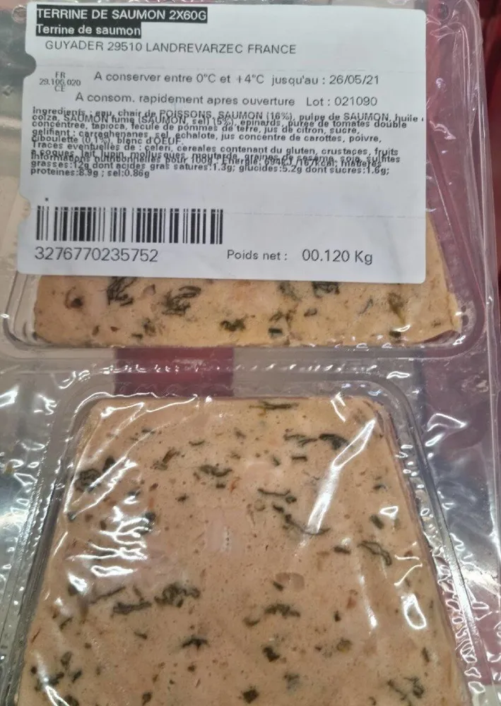Terrine de Saumon