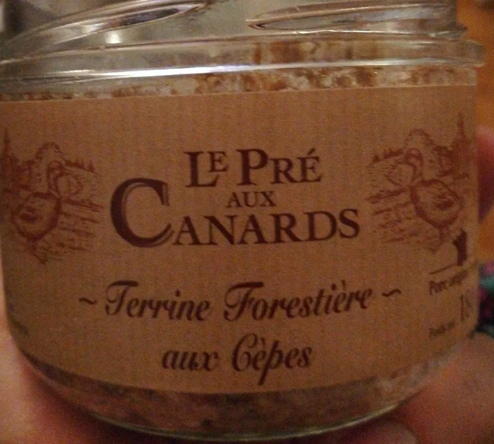 Terrine forestière aux cèpes