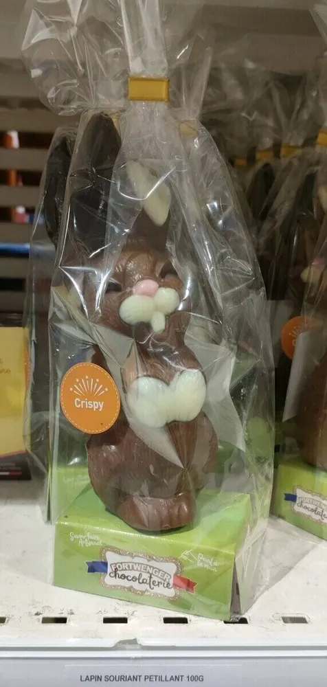Lapin souriant pétillant