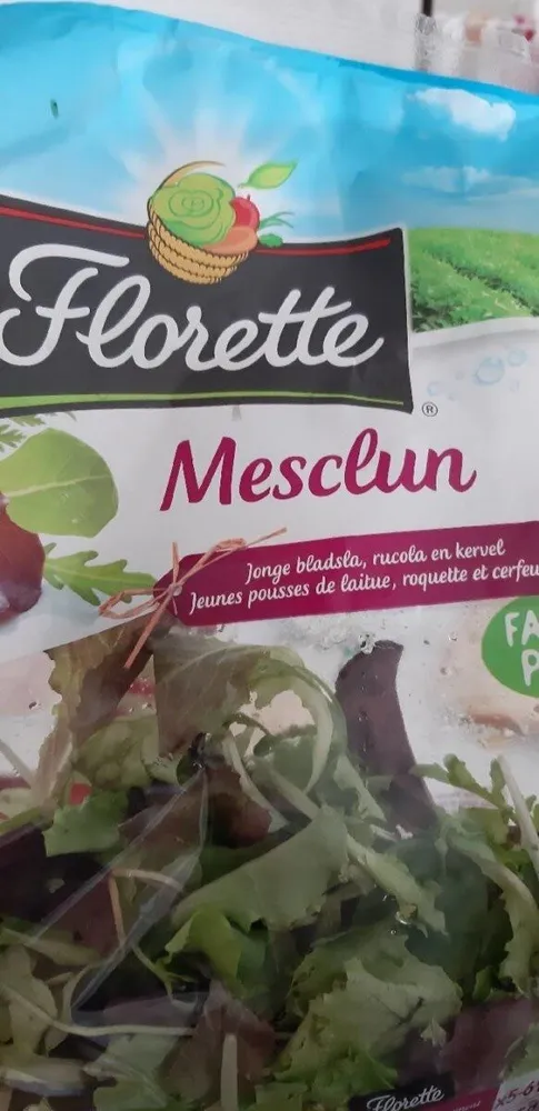 FLORETTE Salade mesclun maxi format