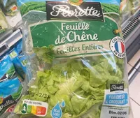 Salade feuille de chene