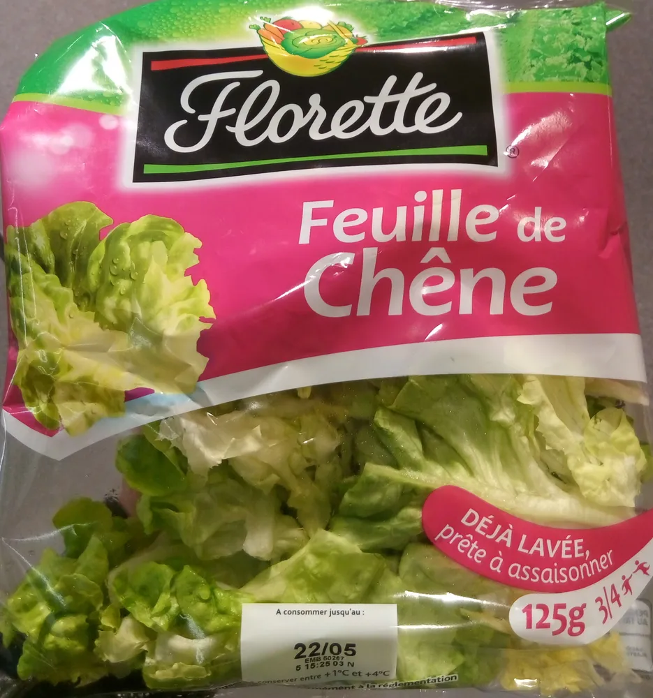 Feuille de chêne