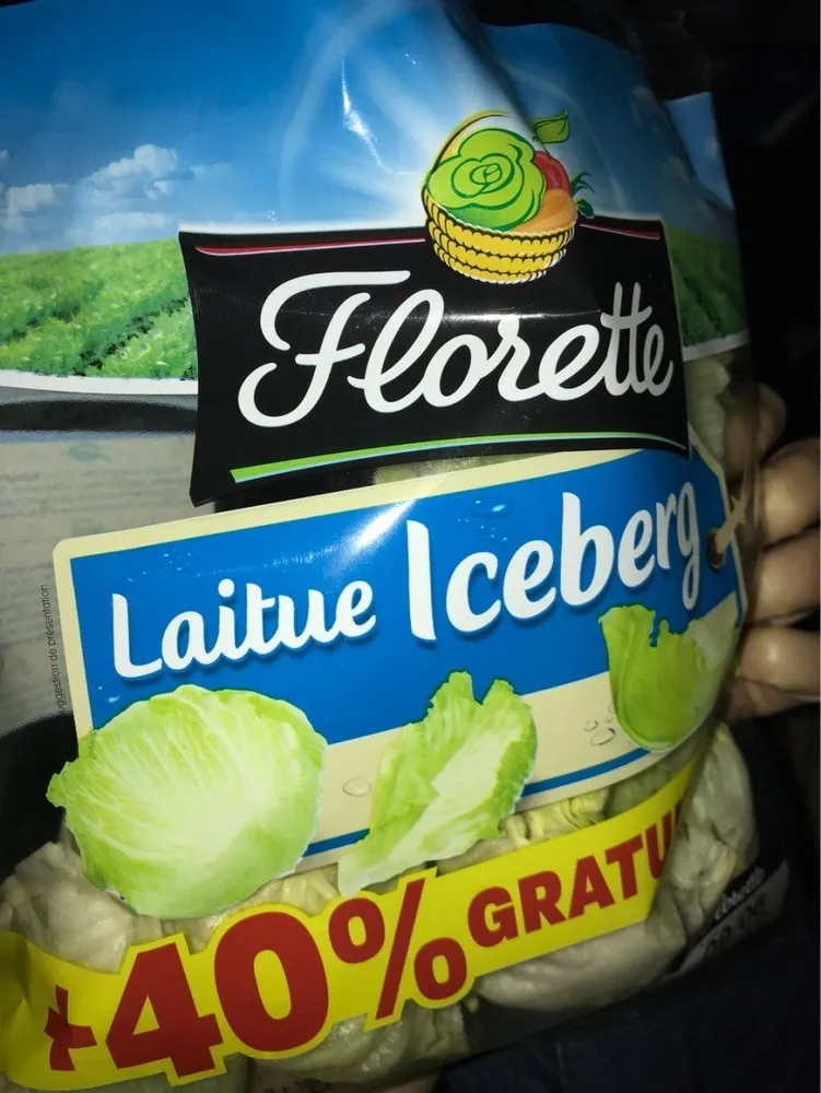 Laitue iceberg