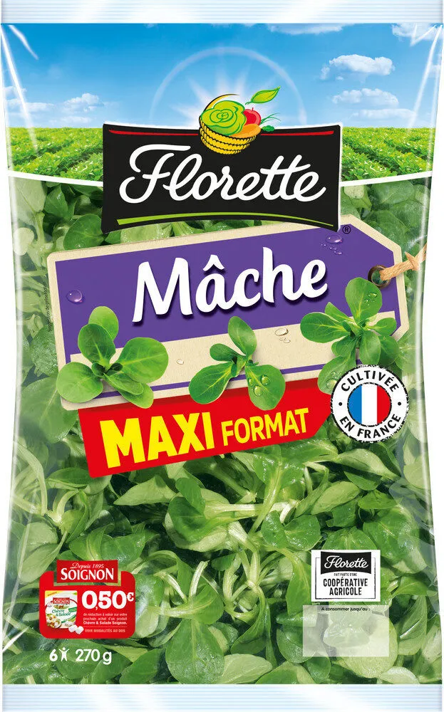 Mâche