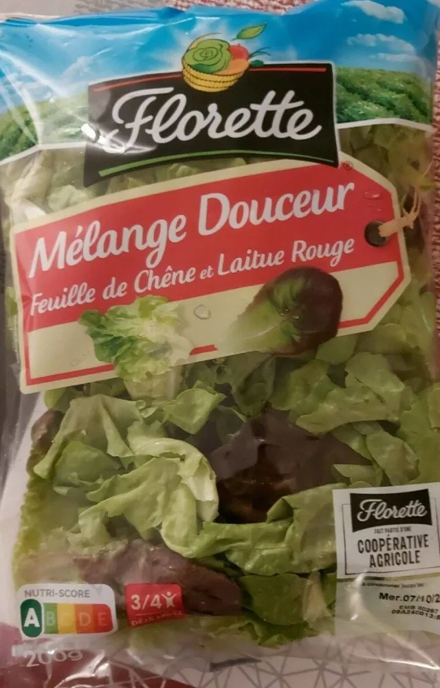 Mélange douceur Feuille de chêne et laitue rouge