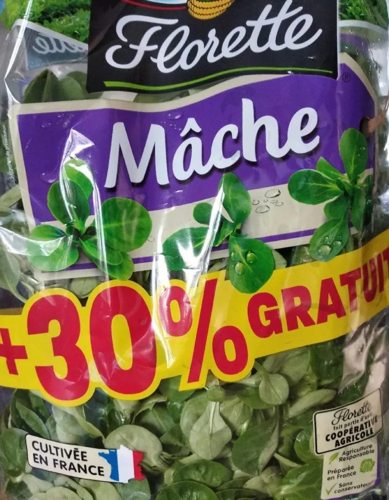 Mache