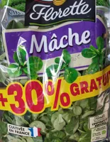 Mache
