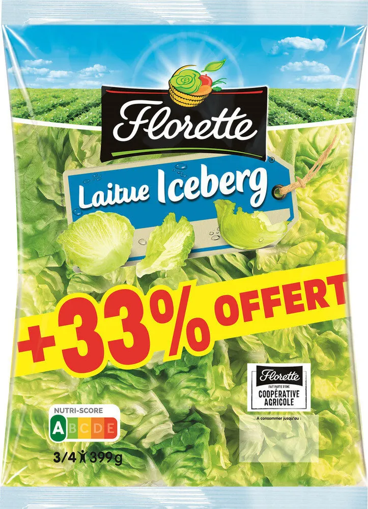Laitue Iceberg