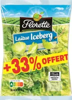Laitue Iceberg