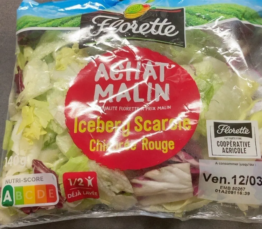 Iceberg Scarole Chicoree rouge