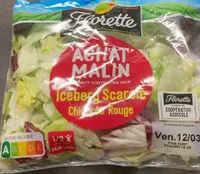 Iceberg Scarole Chicoree rouge