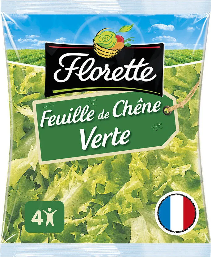 Feuille de Chêne Feuille Entières