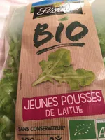 Jeunes pousses de laitue