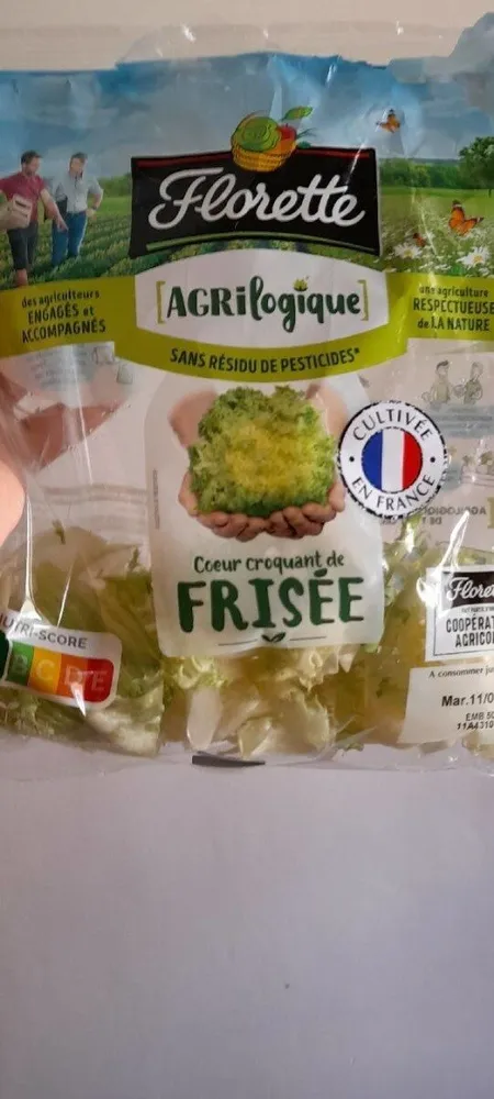 Coeur croquant de frisée Agrilogique