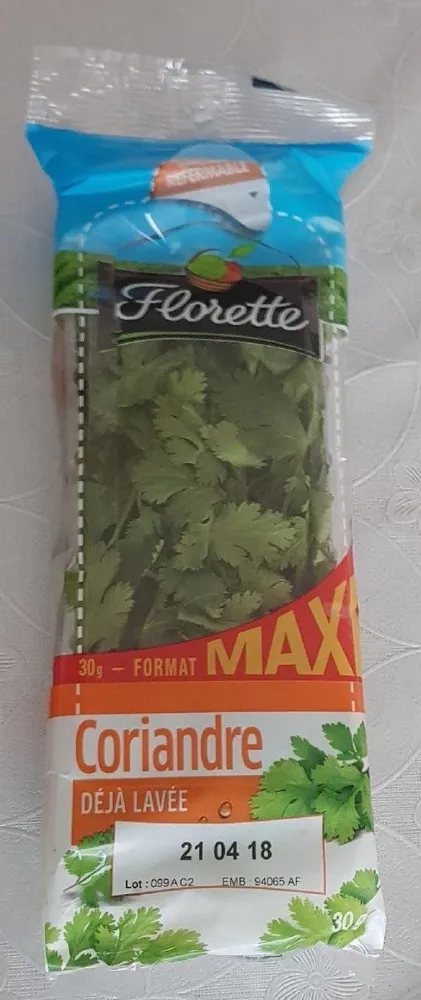 Coriandre déjà lavée