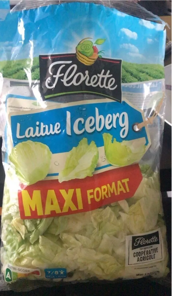 Laitue iceberg