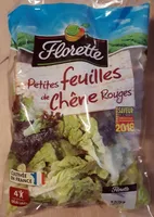 Feuilles de chêne rouges