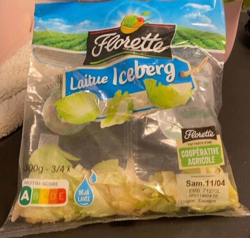 Laitue iceberg