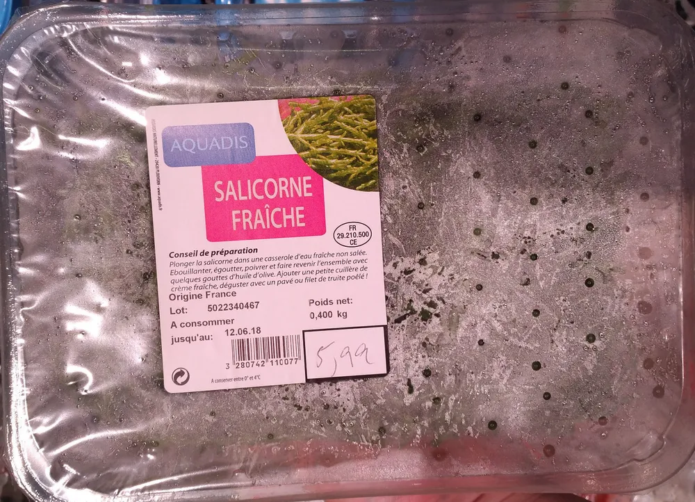 Salicorne Fraîche