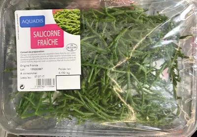 Salicorne fraîche