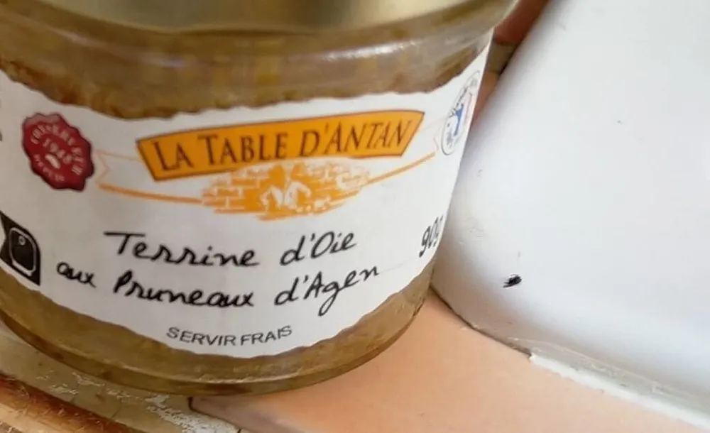 Terrine d'oie aux pruneaux