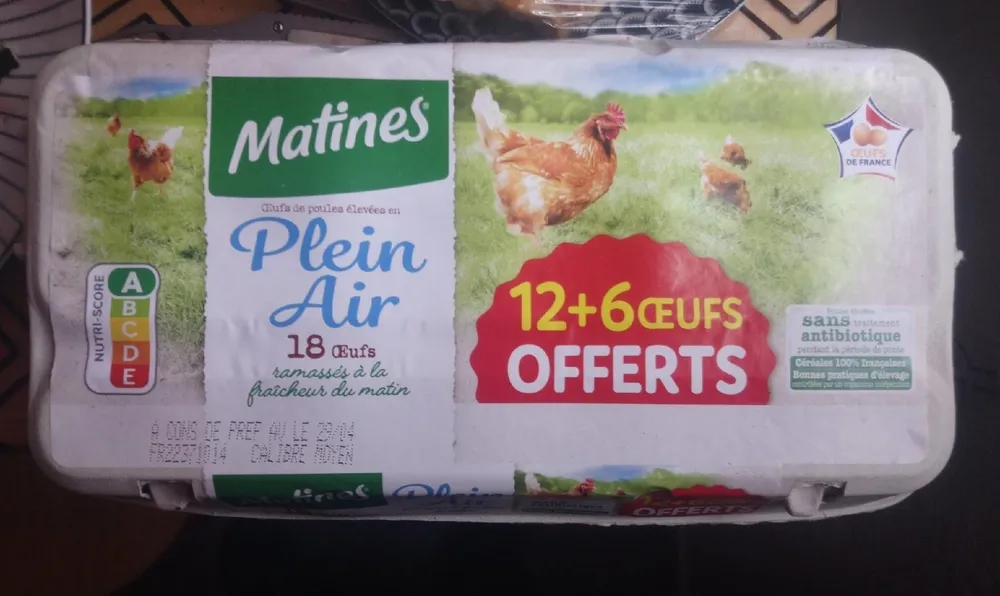 Œufs de poules, plein air