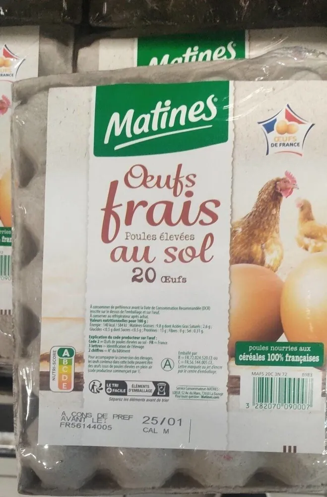 Oeufs frais au sol poules élevées