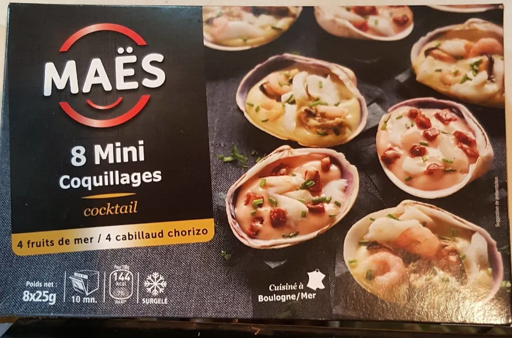 8 mini coquillages