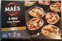 8 mini coquillages
