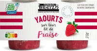 2 yaourts sur leur lit de fraise