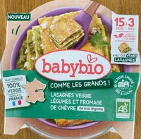 Lasagne veggie