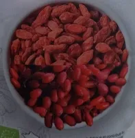 Baie de goji