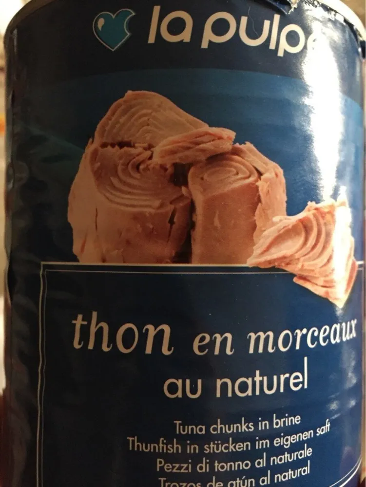 Thon En Morceaux Au Naturel
