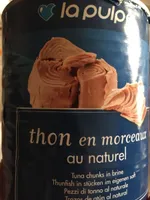 Thon En Morceaux Au Naturel