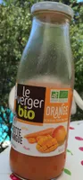 Carotte Mangue