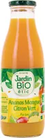 Pur jus ananas mangue citron vert