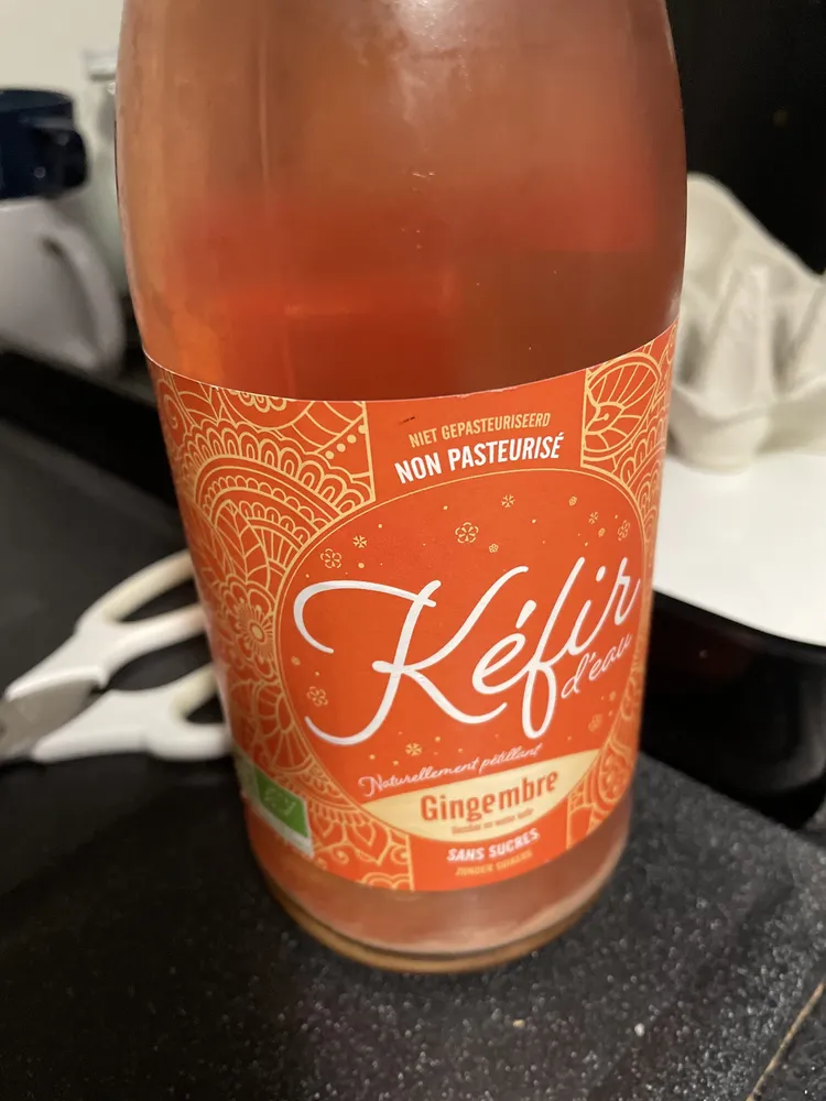 Kefir d eau gingembre sans sucre