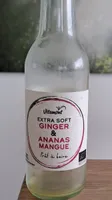 EXTRA SOFT GINGER & ANANAS MANGUE