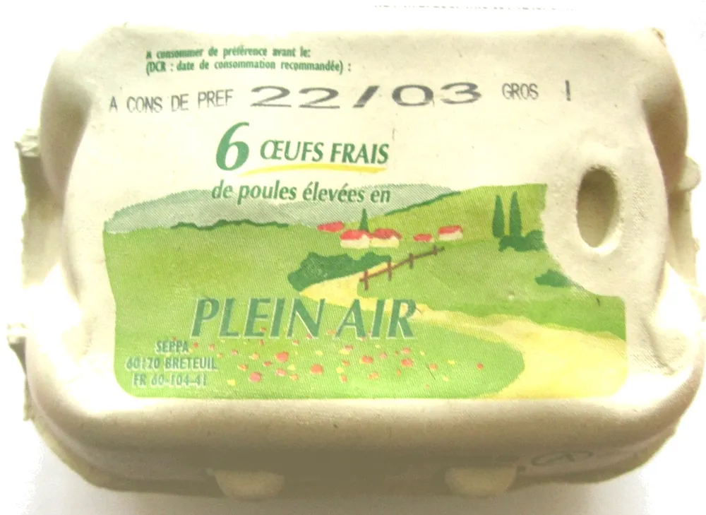 6 oeufs frais plein air