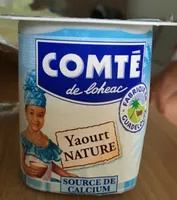 Yahourt nature