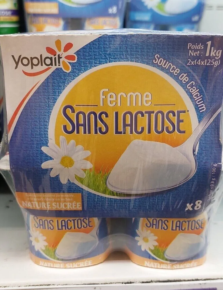 Yaourts sans lactose