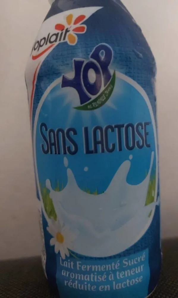 Yop sans lactose