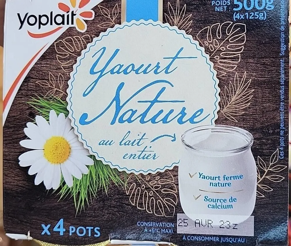 Yaourt nature au lait entier